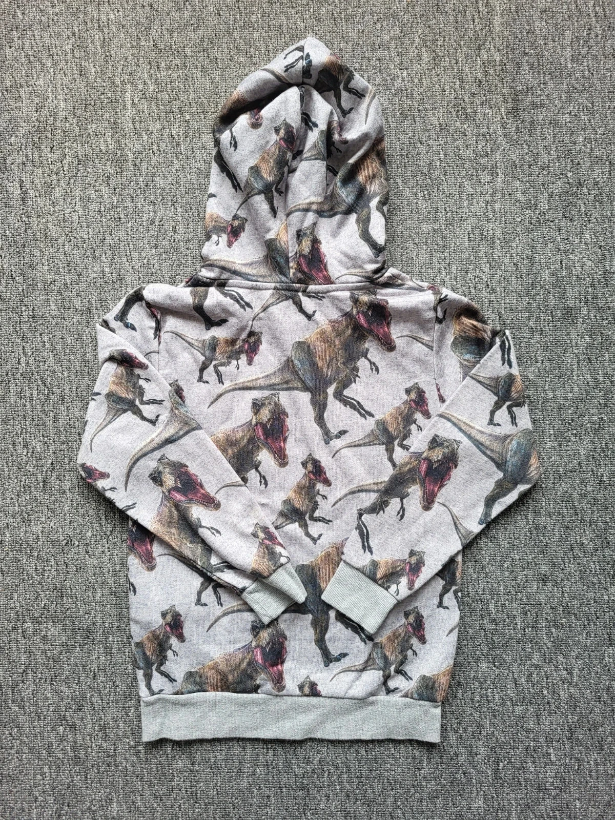 Moletom com Capuz Jurassic World H&M 6-8 Anos 122/128 Dinossauros – photo 4
